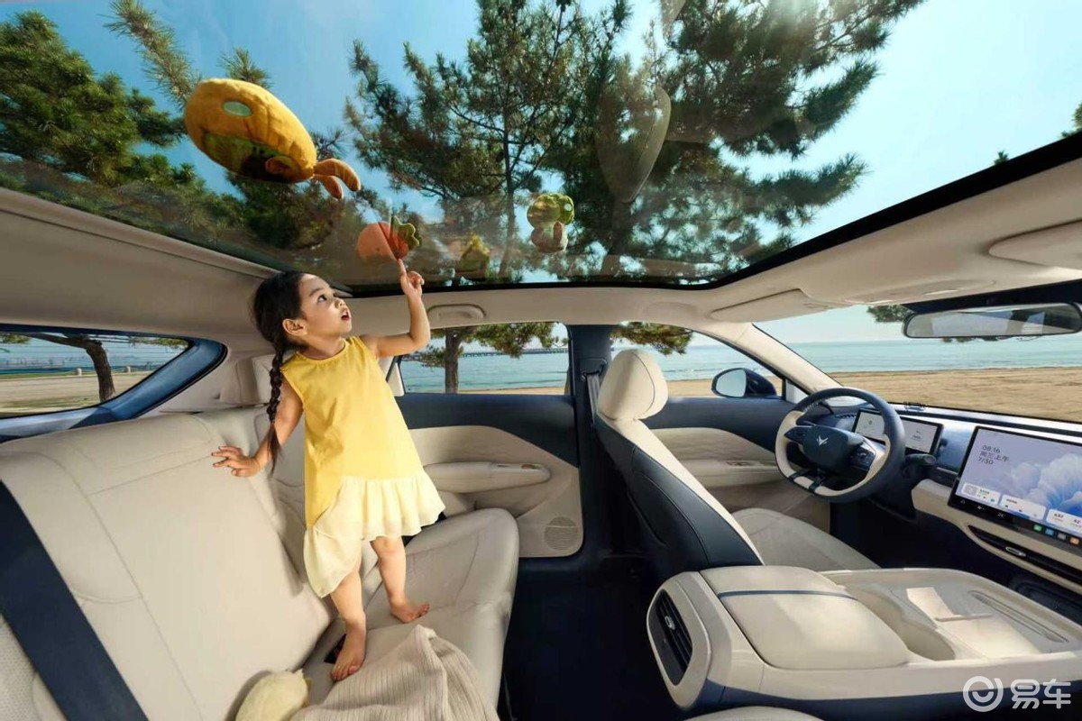 瞄准比亚迪海鸥、吉利星愿,极狐T1预售价6.88万元起